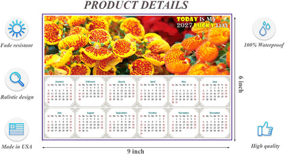 2027 Peel & Stick Calendar - Today is my Lucky Day - Removable, Repositionable - 013 (9"x 6")
