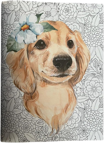 The Illustrated Coloring Book, 16 Sheets - Blue Skunk