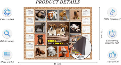 2024 Magnetic Calendar (Dogs) - Calendar Photo Collage Magnets - Today is my Lucky Day - (Fade, Tear, and Water Resistant)