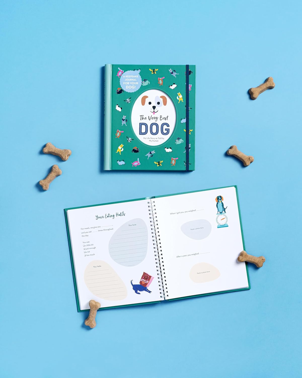 The Very Best Dog: My Life Story as Told by My Human by Workman Hardcover Book