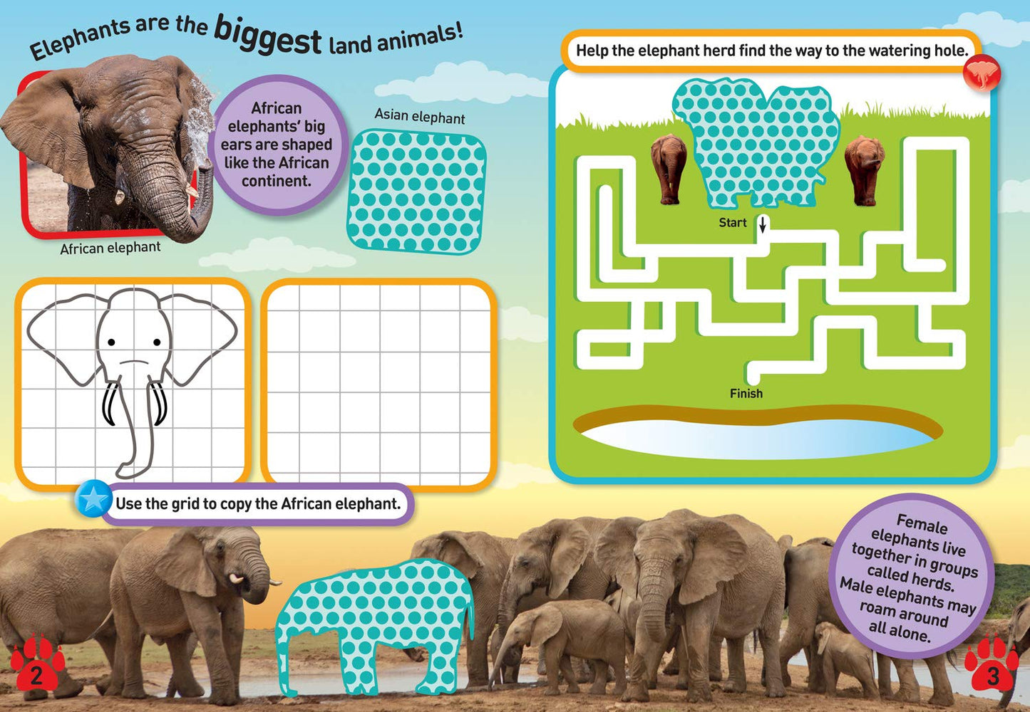 NGK Safari Sticker Activity Book (Special Sales UK Edition)