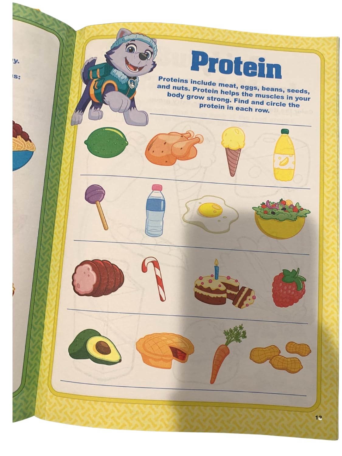 Paw Patrol HEALTHY HEROES WORKBOOK - Children Book