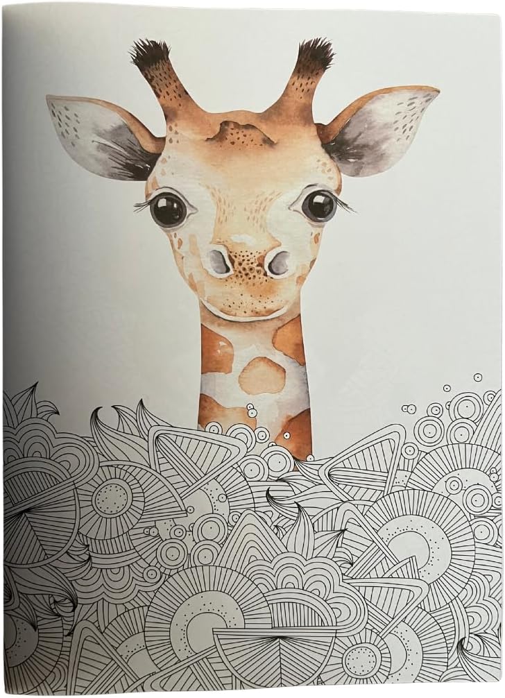 The Illustrated Coloring Book, 16 Sheets - Blue Skunk