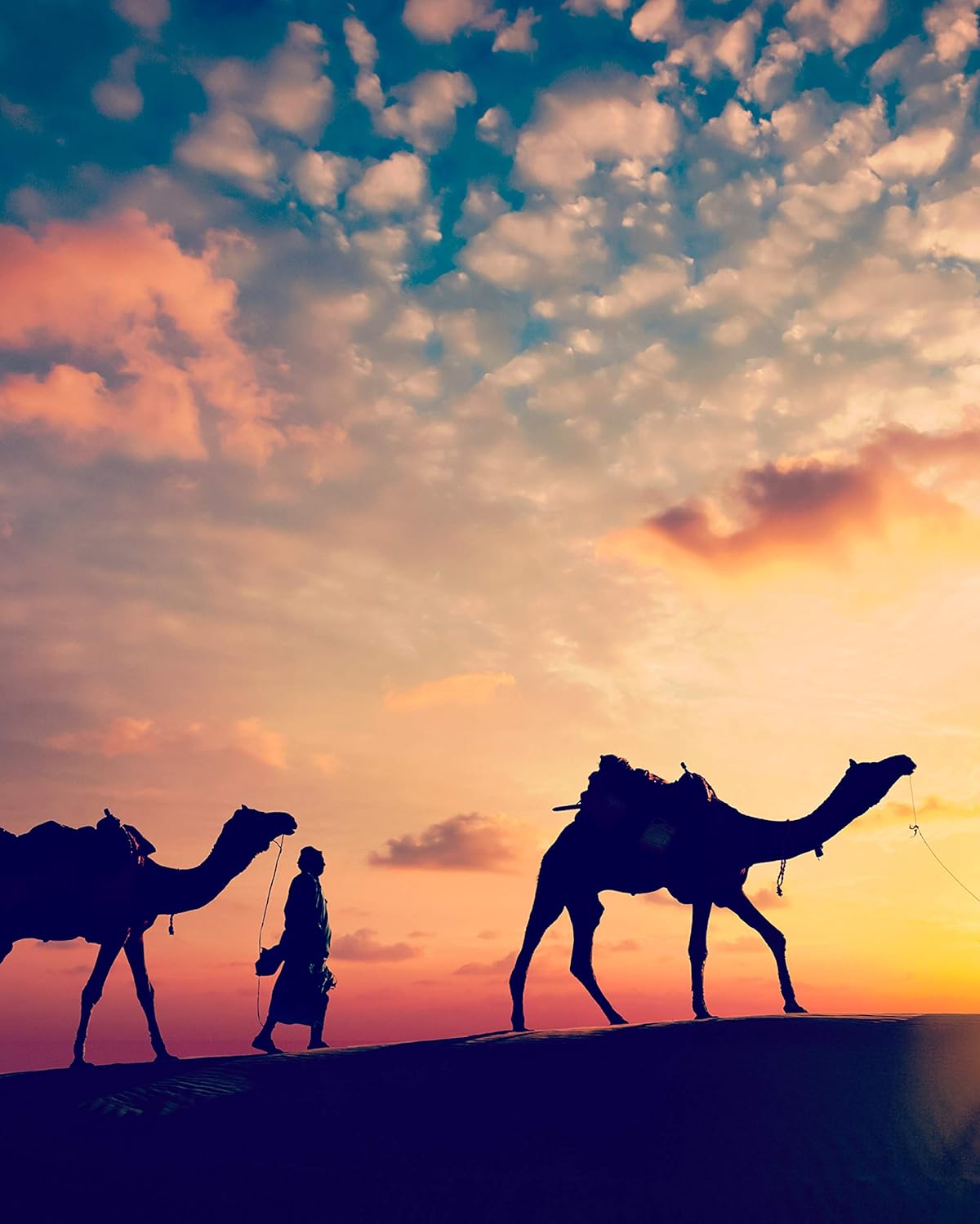 Dream Walls Collage Kit. Paperback Book