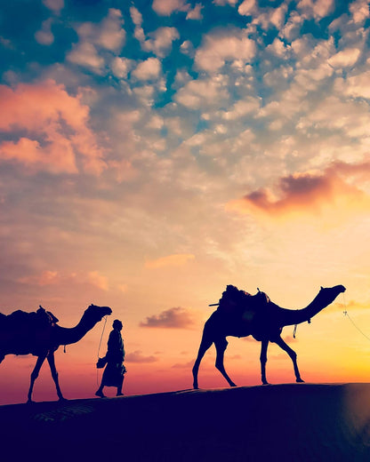 Dream Walls Collage Kit. Paperback Book