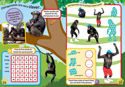 NGK Safari Sticker Activity Book (Special Sales UK Edition)