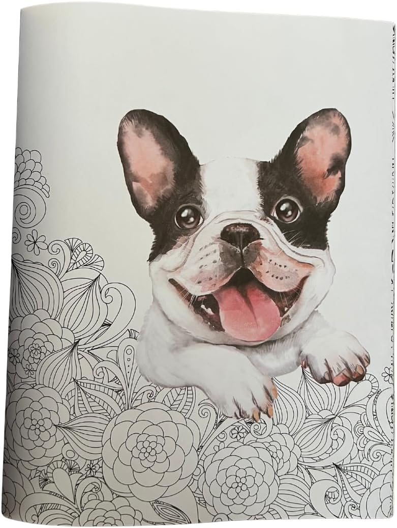 The Illustrated Coloring Book, 16 Sheets - Blue Skunk