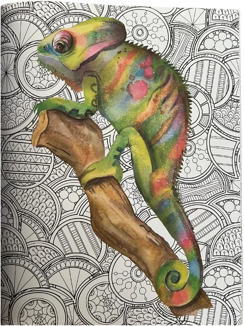 The Illustrated Coloring Book, 16 Sheets - Blue Skunk