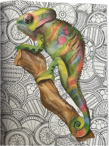 The Illustrated Coloring Book, 16 Sheets - Blue Skunk