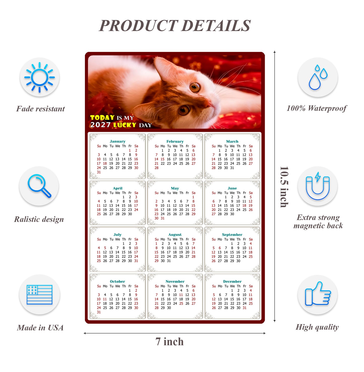 2027 Magnetic Calendar - Today is My Lucky Day (Fade, Tear, and Water Resistant)- Cat Themed 07