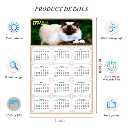 2027 Magnetic Calendar - Today is My Lucky Day (Fade, Tear, and Water Resistant)- Cat Themed 02