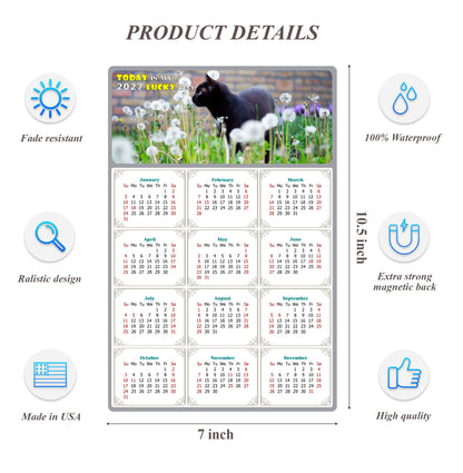 2027 Magnetic Calendar - Today is My Lucky Day (Fade, Tear, and Water Resistant)- Cat Themed 05