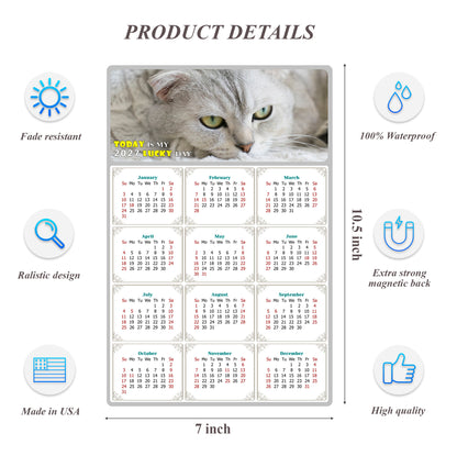 2027 Magnetic Calendar - Today is My Lucky Day (Fade, Tear, and Water Resistant)- Cat Themed 01