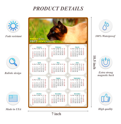 2027 Magnetic Calendar - Today is My Lucky Day (Fade, Tear, and Water Resistant)- Cat Themed 03