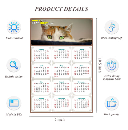 2027 Magnetic Calendar - Today is My Lucky Day (Fade, Tear, and Water Resistant)- Cat Themed 012