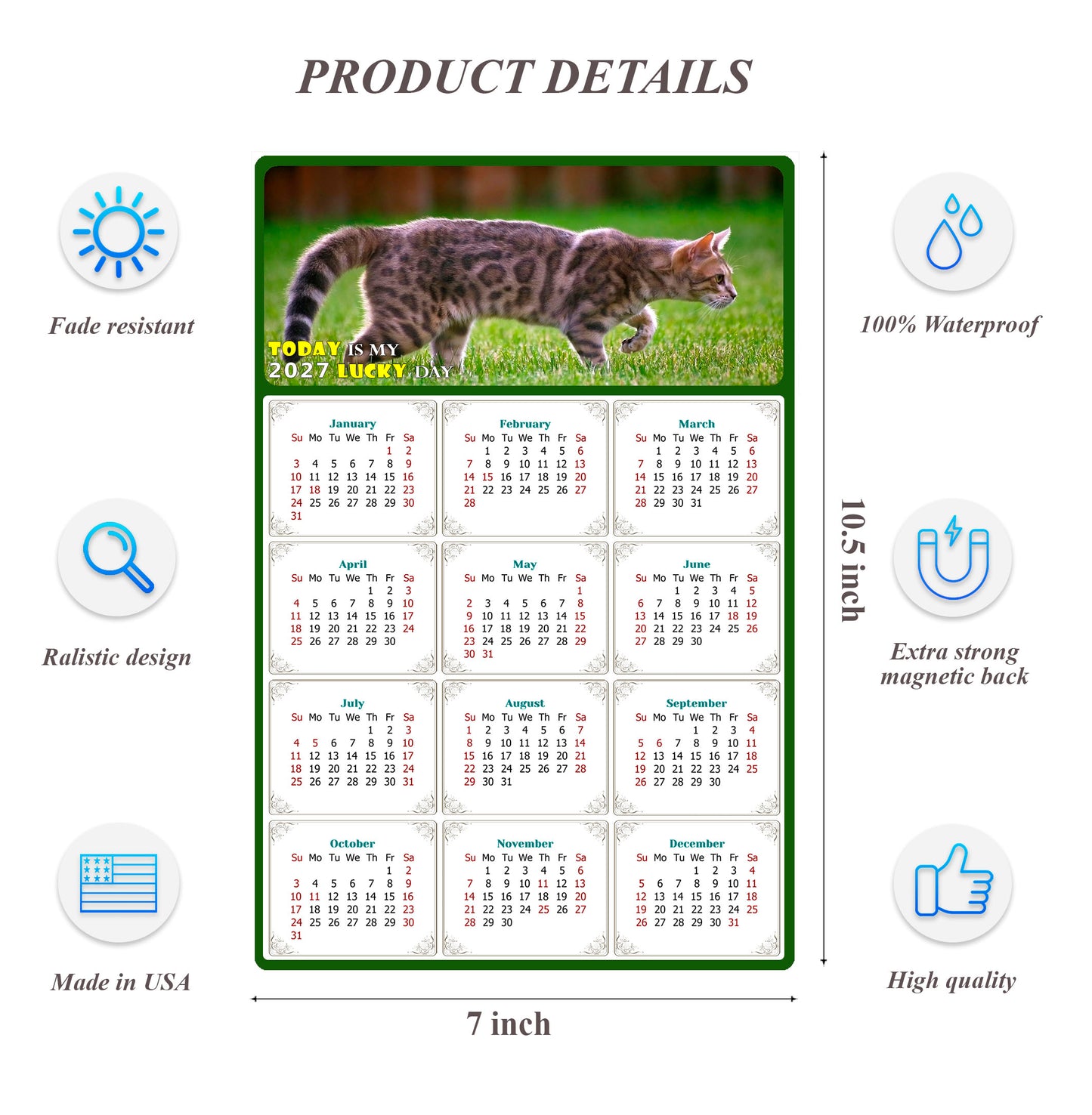 2027 Magnetic Calendar - Today is My Lucky Day (Fade, Tear, and Water Resistant)- Cat Themed 09