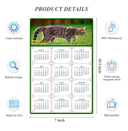 2027 Magnetic Calendar - Today is My Lucky Day (Fade, Tear, and Water Resistant)- Cat Themed 09