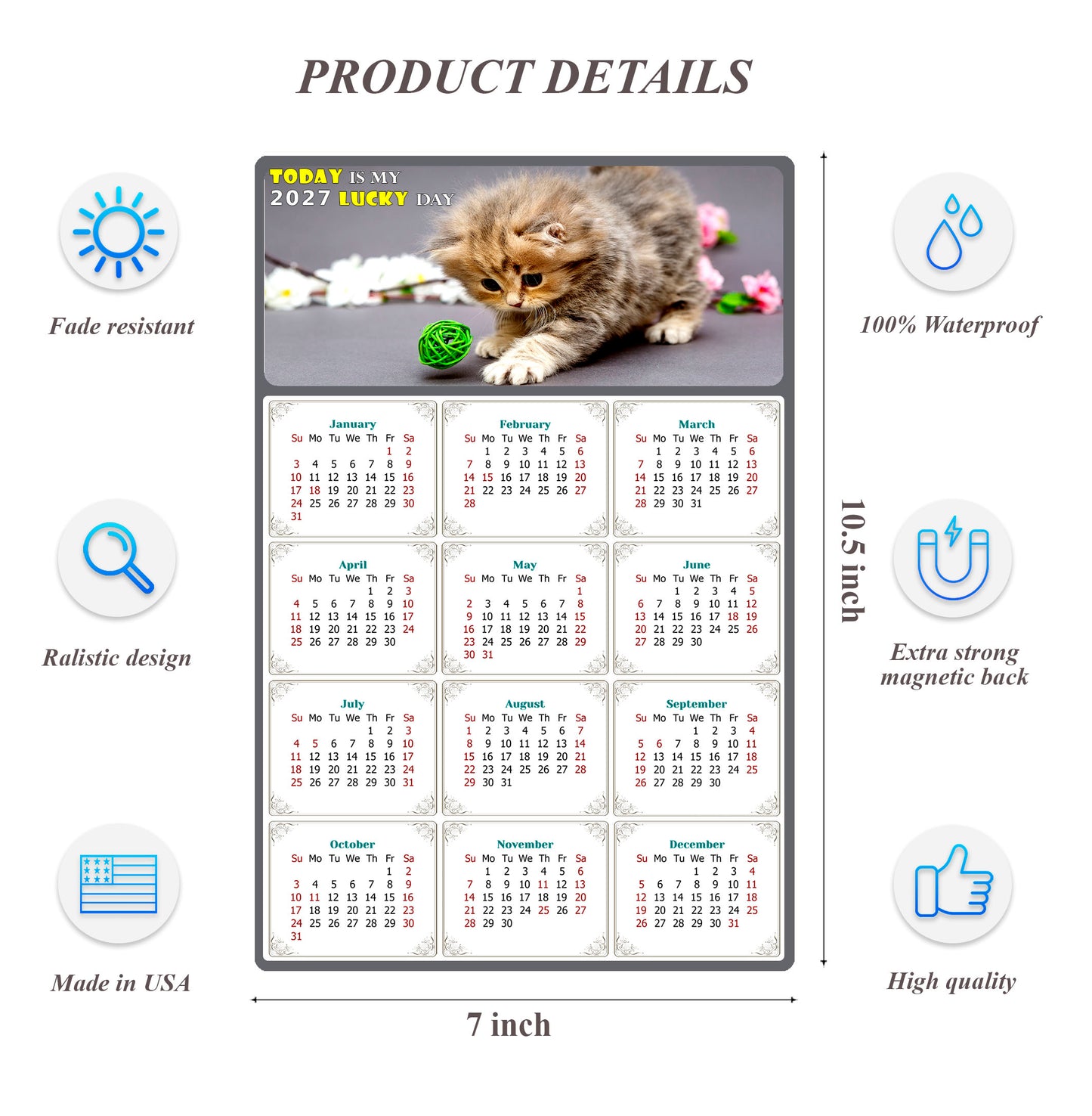 2027 Magnetic Calendar - Today is My Lucky Day (Fade, Tear, and Water Resistant)- Cat Themed 017