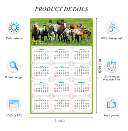 2027 Magnetic Calendar - Calendar Magnets - Today is my Lucky Day - (Fade, Tear, and Water Resistant) - Horses Themed 02