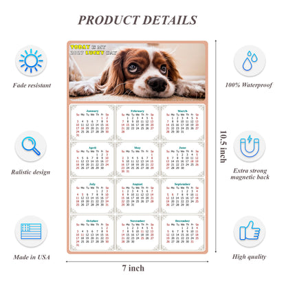 2027 Magnetic Calendar - Today is My Lucky Day (Fade, Tear, and Water Resistant)- Dogs Themed 01