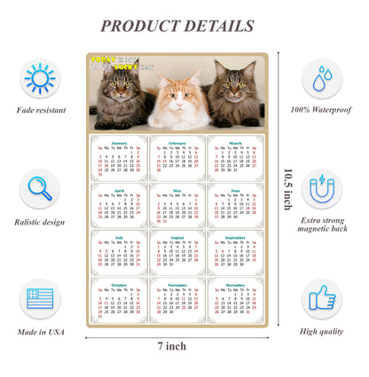 2027 Magnetic Calendar - Today is My Lucky Day (Fade, Tear, and Water Resistant)- Cat Themed 015