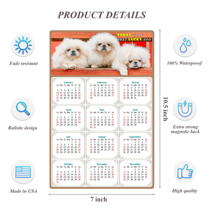 2027 Magnetic Calendar - Today is My Lucky Day (Fade, Tear, and Water Resistant)- Dogs Themed 022
