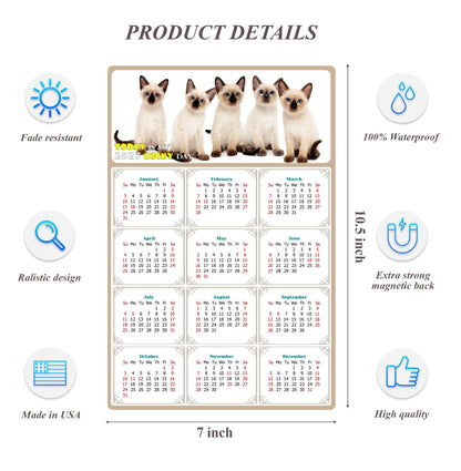 2027 Magnetic Calendar - Today is My Lucky Day (Fade, Tear, and Water Resistant)- Cat Themed 020
