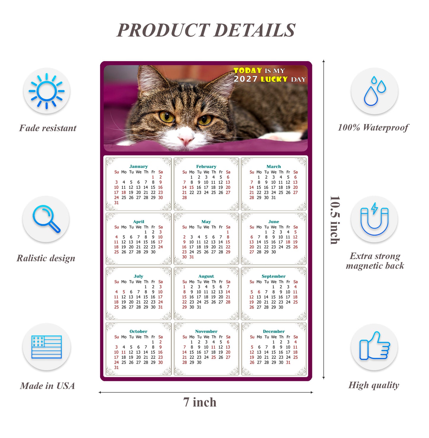 2027 Magnetic Calendar - Today is My Lucky Day (Fade, Tear, and Water Resistant)- Cat Themed 022