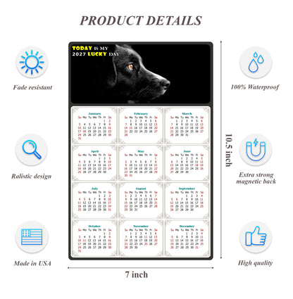 2027 Magnetic Calendar - Today is My Lucky Day (Fade, Tear, and Water Resistant)- Dogs Themed 05