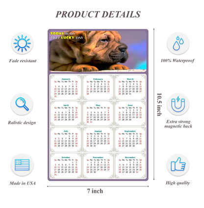 2027 Magnetic Calendar - Today is My Lucky Day (Fade, Tear, and Water Resistant)- Dogs Themed 012