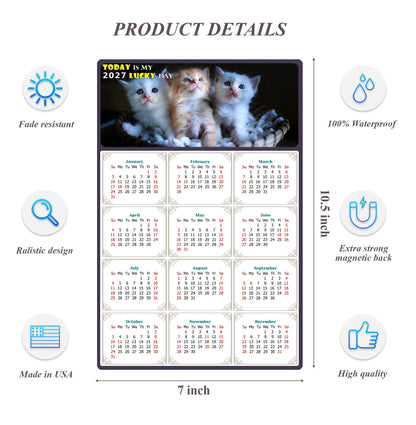 2027 Magnetic Calendar - Today is My Lucky Day (Fade, Tear, and Water Resistant)- Cat Themed 011