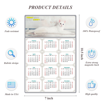 2027 Magnetic Calendar - Today is My Lucky Day (Fade, Tear, and Water Resistant)- Cat Themed 06