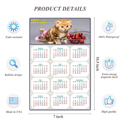 2027 Magnetic Calendar - Today is My Lucky Day (Fade, Tear, and Water Resistant)- Cat Themed 016