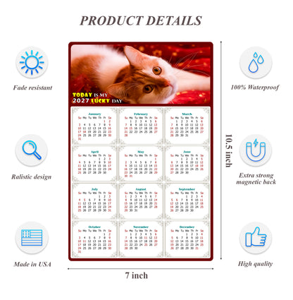 2027 Magnetic Calendar - Today is My Lucky Day (Fade, Tear, and Water Resistant)- Cat Themed 07