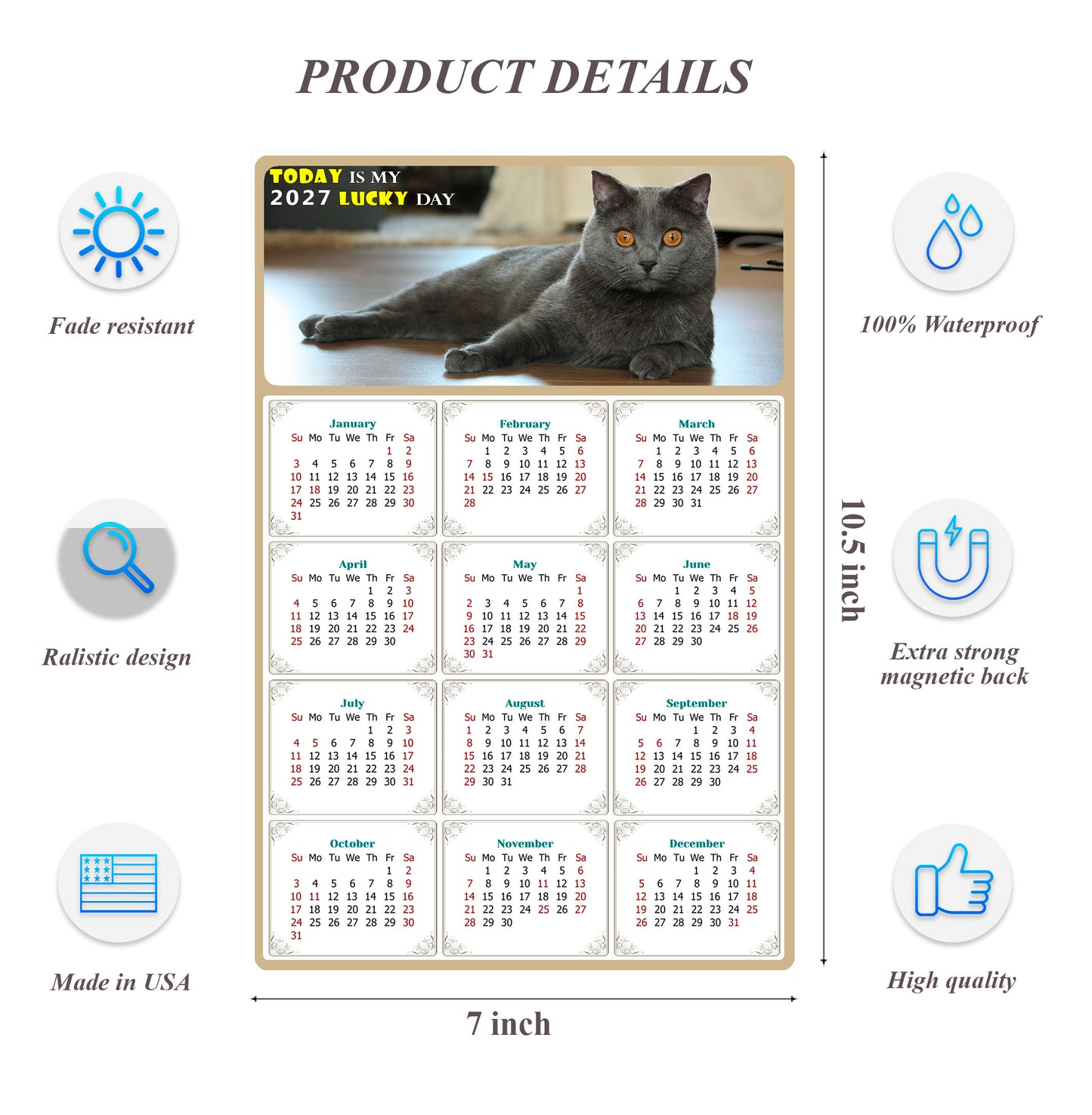 2027 Magnetic Calendar - Today is My Lucky Day (Fade, Tear, and Water Resistant)- Cat Themed 014