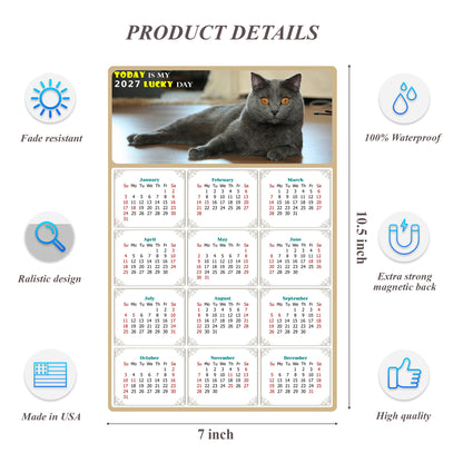 2027 Magnetic Calendar - Today is My Lucky Day (Fade, Tear, and Water Resistant)- Cat Themed 014