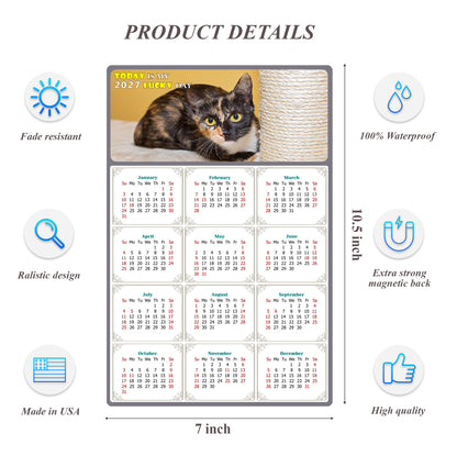 2027 Magnetic Calendar - Today is My Lucky Day (Fade, Tear, and Water Resistant)- Cat Themed 024