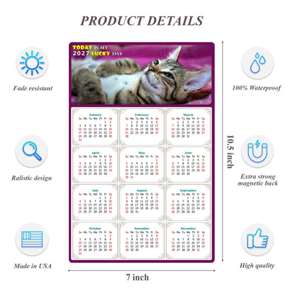 2027 Magnetic Calendar - Today is My Lucky Day (Fade, Tear, and Water Resistant)- Cat Themed 08