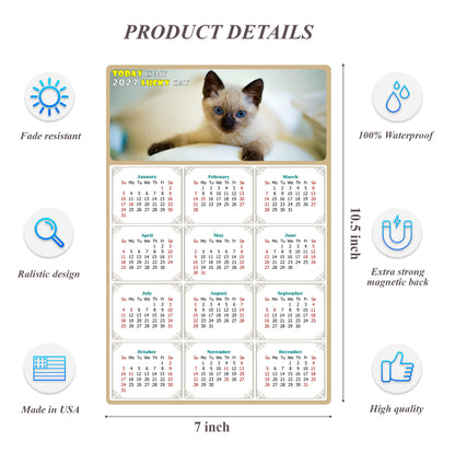 2027 Magnetic Calendar - Today is My Lucky Day (Fade, Tear, and Water Resistant)- Cat Themed 013