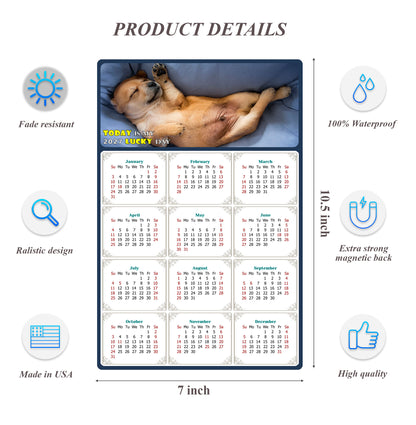 2027 Magnetic Calendar - Today is My Lucky Day (Fade, Tear, and Water Resistant)- Dogs Themed 013