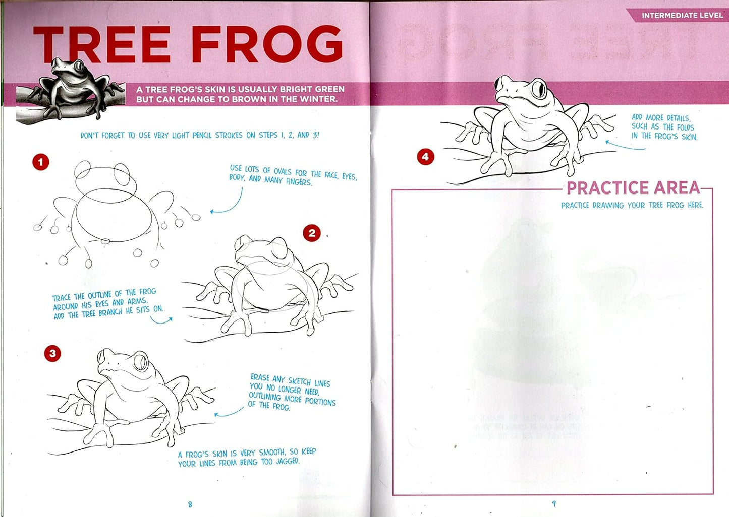 Step-by-Step Tutorial Books - Sea Life and Jungle - (Set of 2 Books)