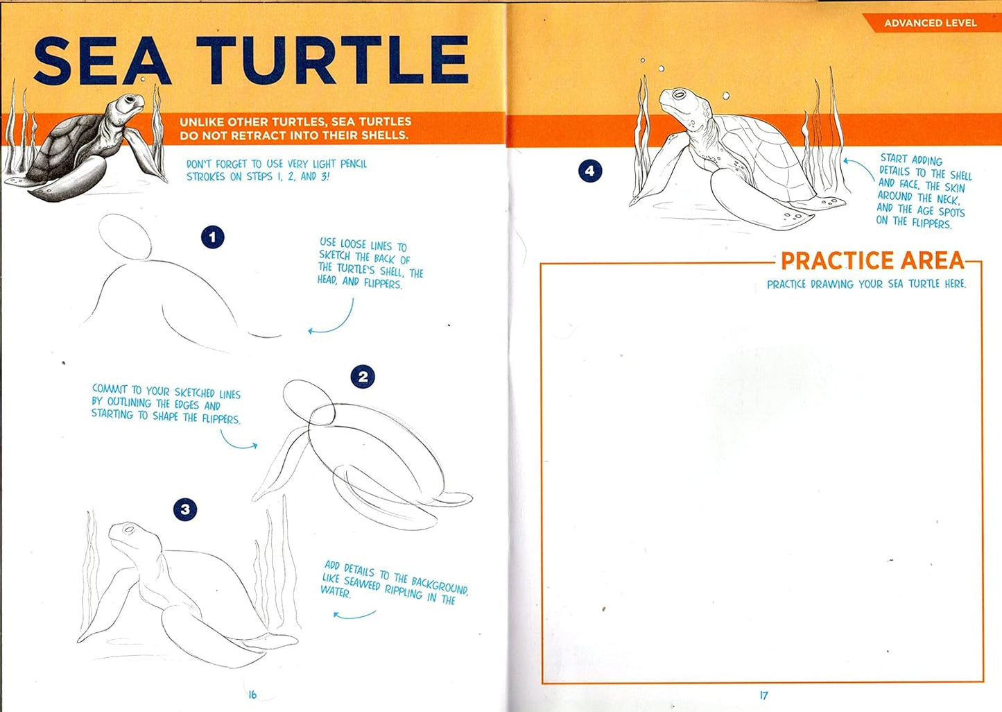 Step-by-Step Tutorial Books - Sea Life and Jungle - (Set of 2 Books)