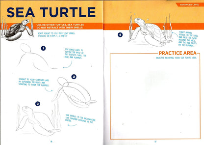 Step-by-Step Tutorial Books - Sea Life and Jungle - (Set of 2 Books)