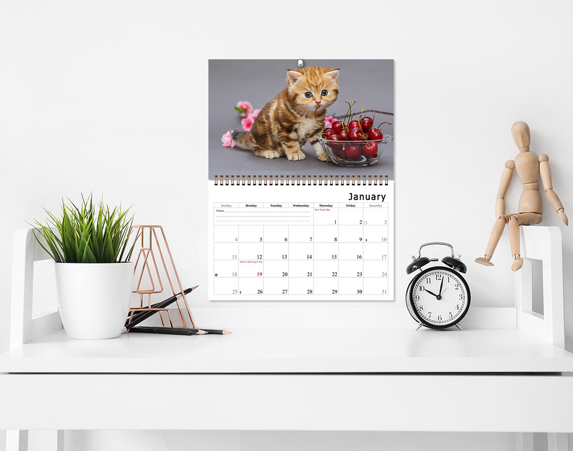 2026 Spiral-bound Wall Calendar (Kittens) - 12 Months Desktop/Wall Calendar/Planner