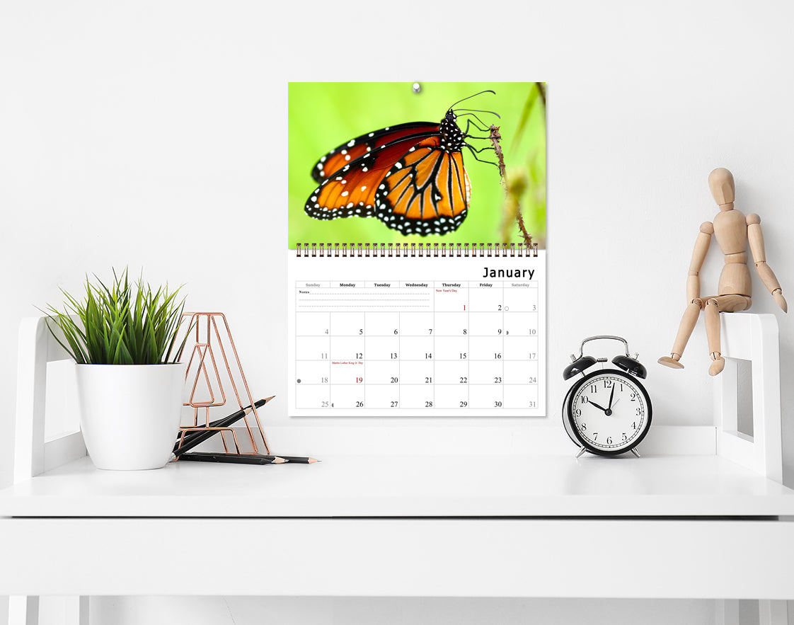 2026 Spiral-bound Wall Calendar (Butterflyes) - 12 Months Desktop/Wall Calendar/Planner