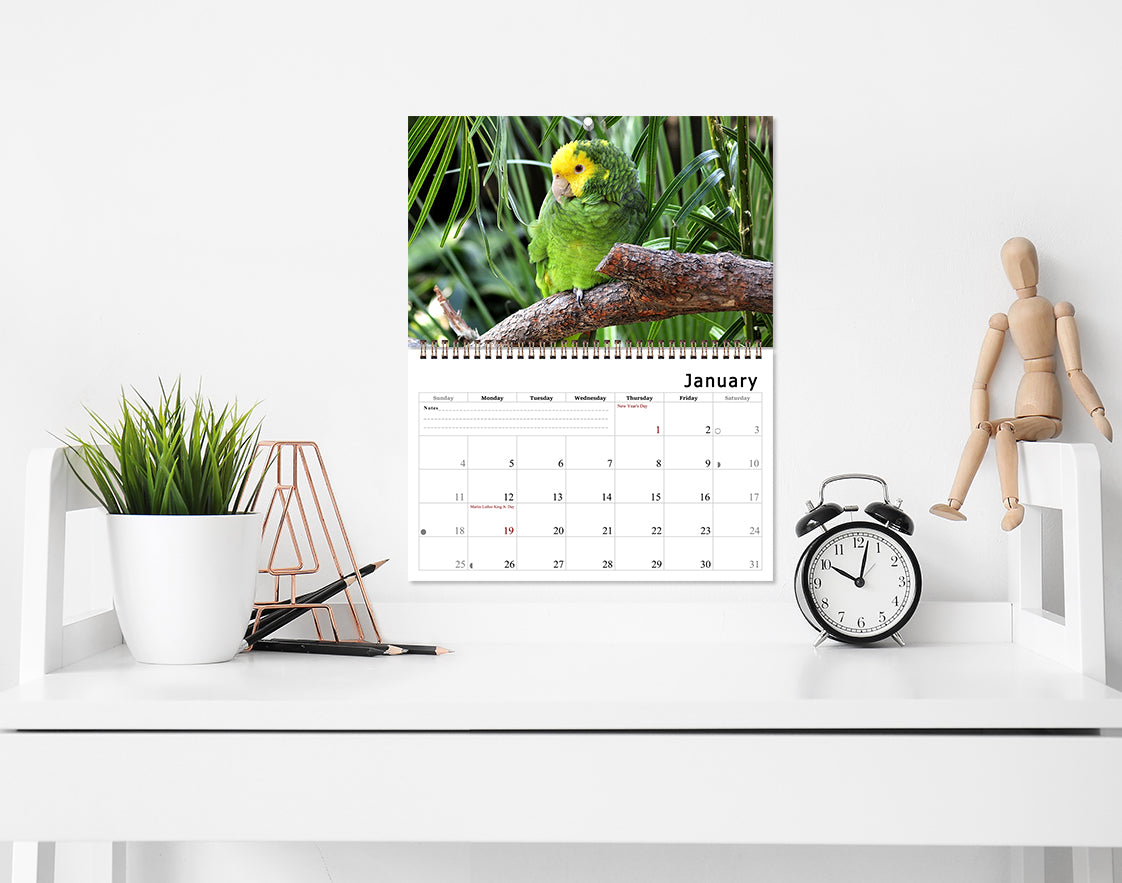 2027 Spiral-bound Wall Calendar (Exotic Birds) - 12 Months Desktop/Wall Calendar/Planner