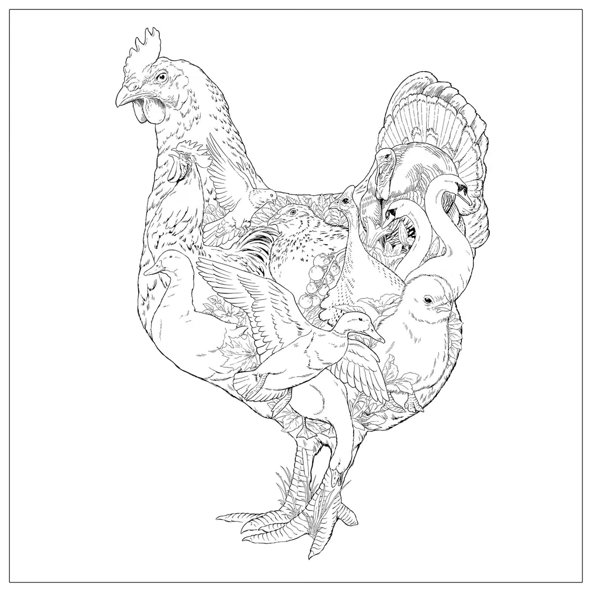 Imaginaria: In the Garden: An Artist's Coloring Book of Birds and Flowers Inside