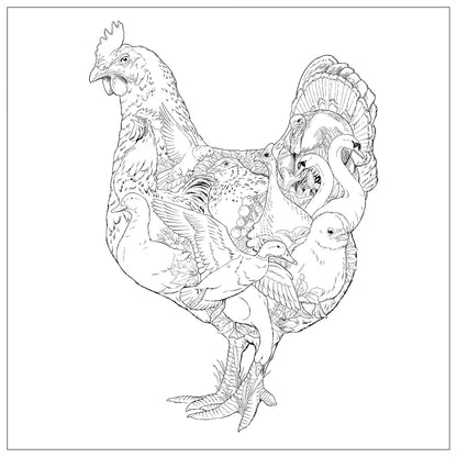 Imaginaria: In the Garden: An Artist's Coloring Book of Birds and Flowers Inside
