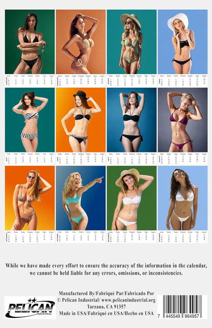 2027 Wall Oversized Poster Swimsuit Bikini Women Calendar - 12 Months