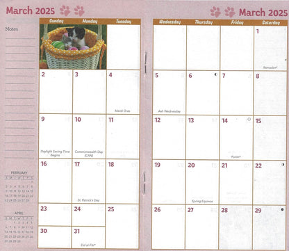 2024-2025 Value Pocket Calendar for Planning, Scheduling, and Organizing (Kittens)